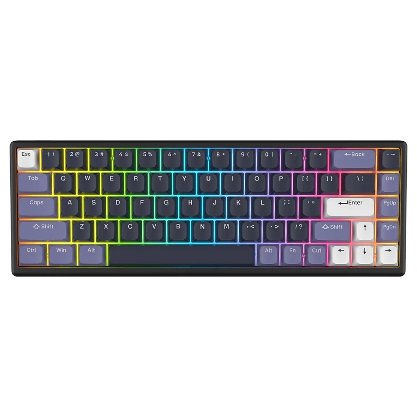 Arbiter Studio Polar 65 Magnetic ANSI US Midnight Lilac
