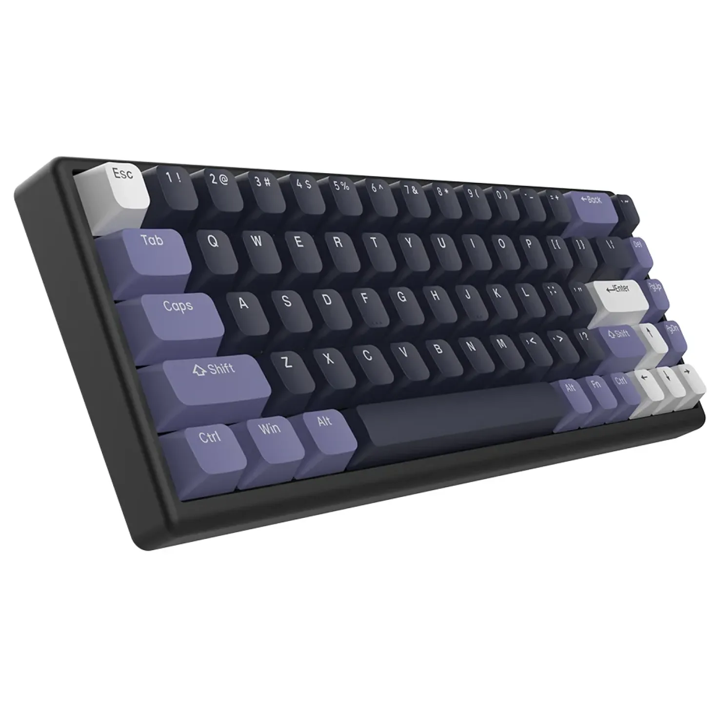 Arbiter Studio Polar 65 Magnetic ANSI US Midnight Lilac