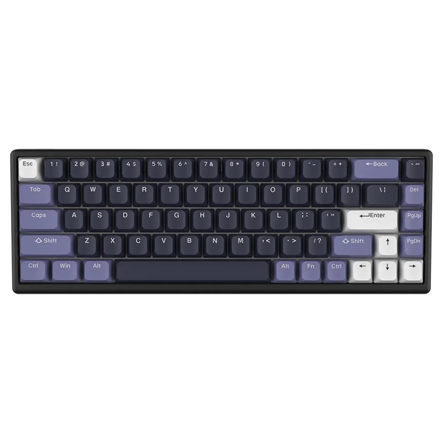 Arbiter Studio Polar 65 Magnetic ANSI US Midnight Lilac
