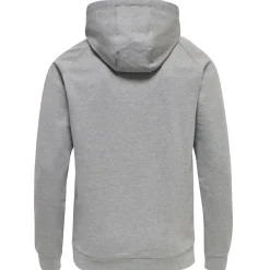 Astralis Hoodie Gris