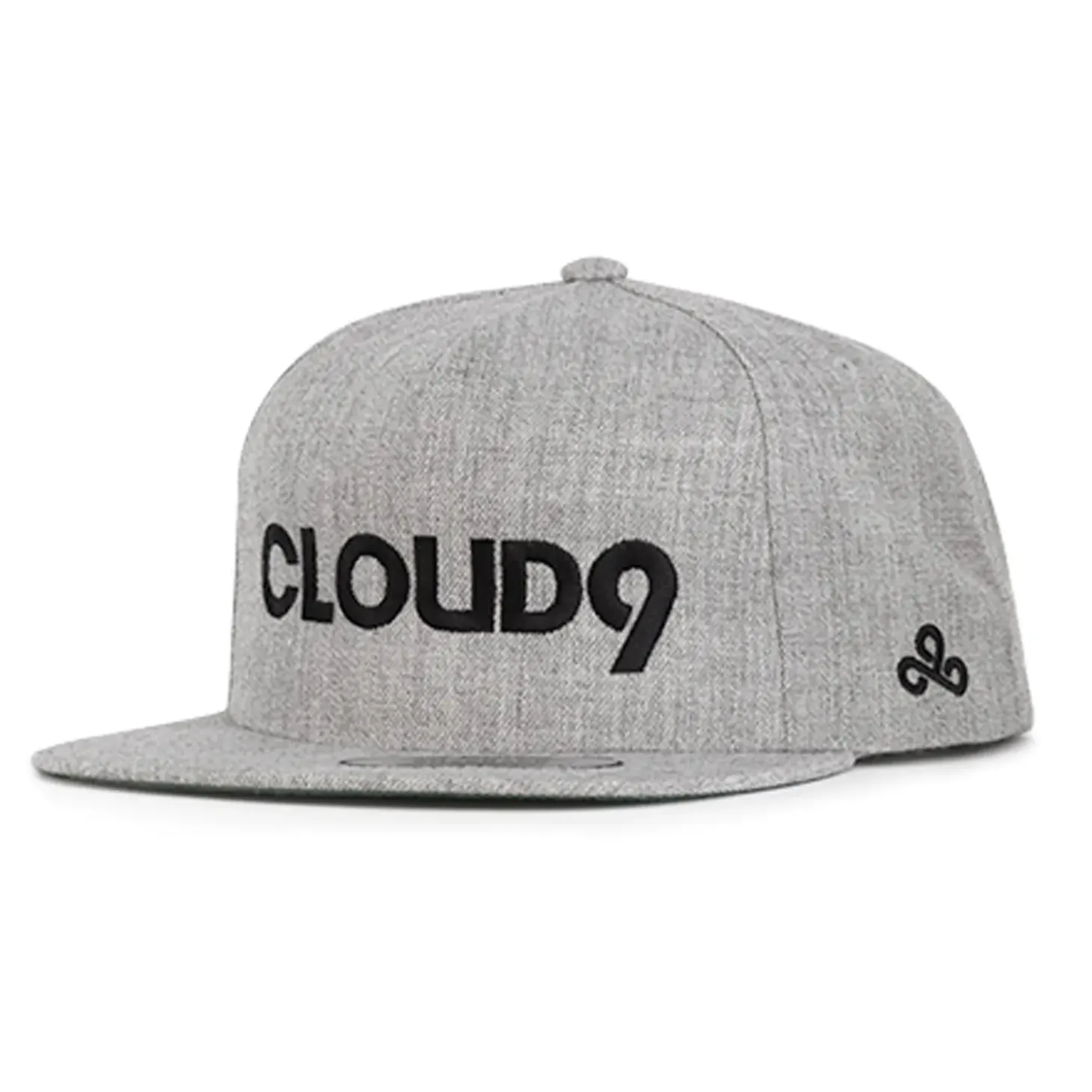 Cloud9 Wordmark Snapback Gris