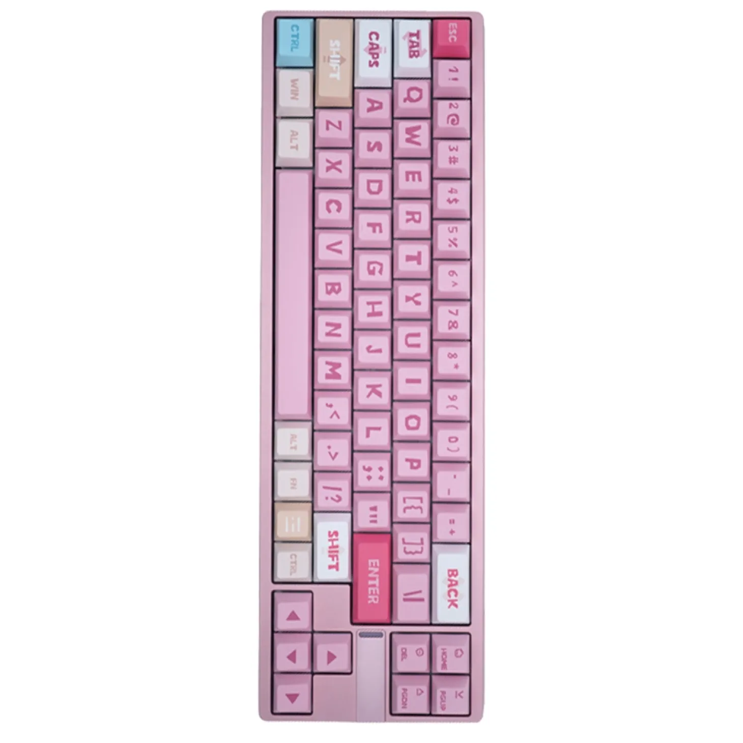 Darmoshark KT65 MAX Magnetic ANSI US Rose