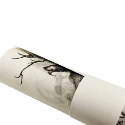 Designed By GG Long Tail 01 Edition Kirin
