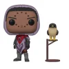 Destiny 2 Hawthorne + Hawk