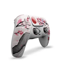 Draw My Pad PS5 Hanami
