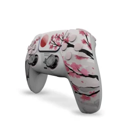 Draw My Pad PS5 Hanami