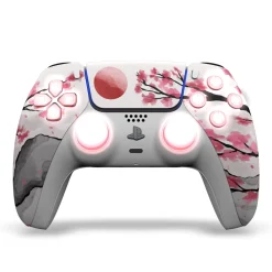 Draw My Pad PS5 Hanami LED