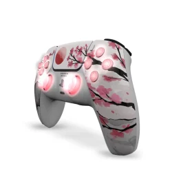 Draw My Pad PS5 Palettes FPS Hanami LED
