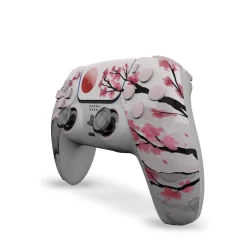 Draw My Pad PS5 Palettes Hanami