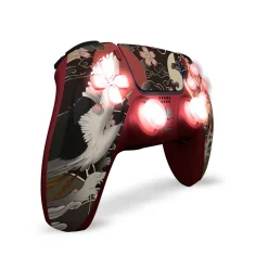 Draw My Pad PS5 Tsuru Leds