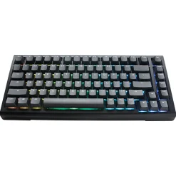 Ducky ProjectD Tinker 75 ISO FR