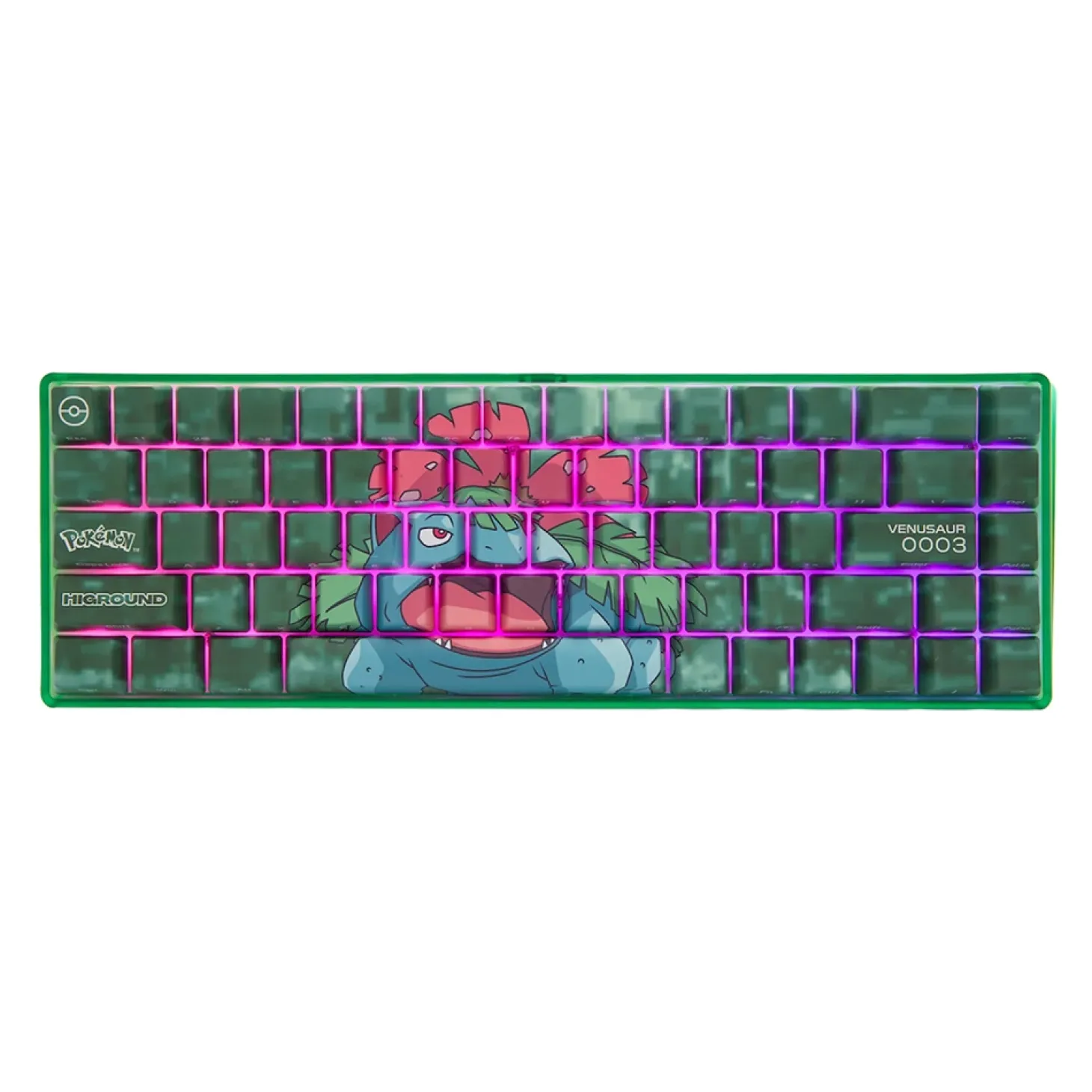 Higround Pokémon Base 65 ANSI US Florizarre