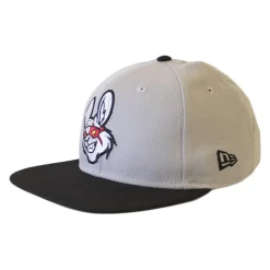 Misfits Casquette New Era Gris