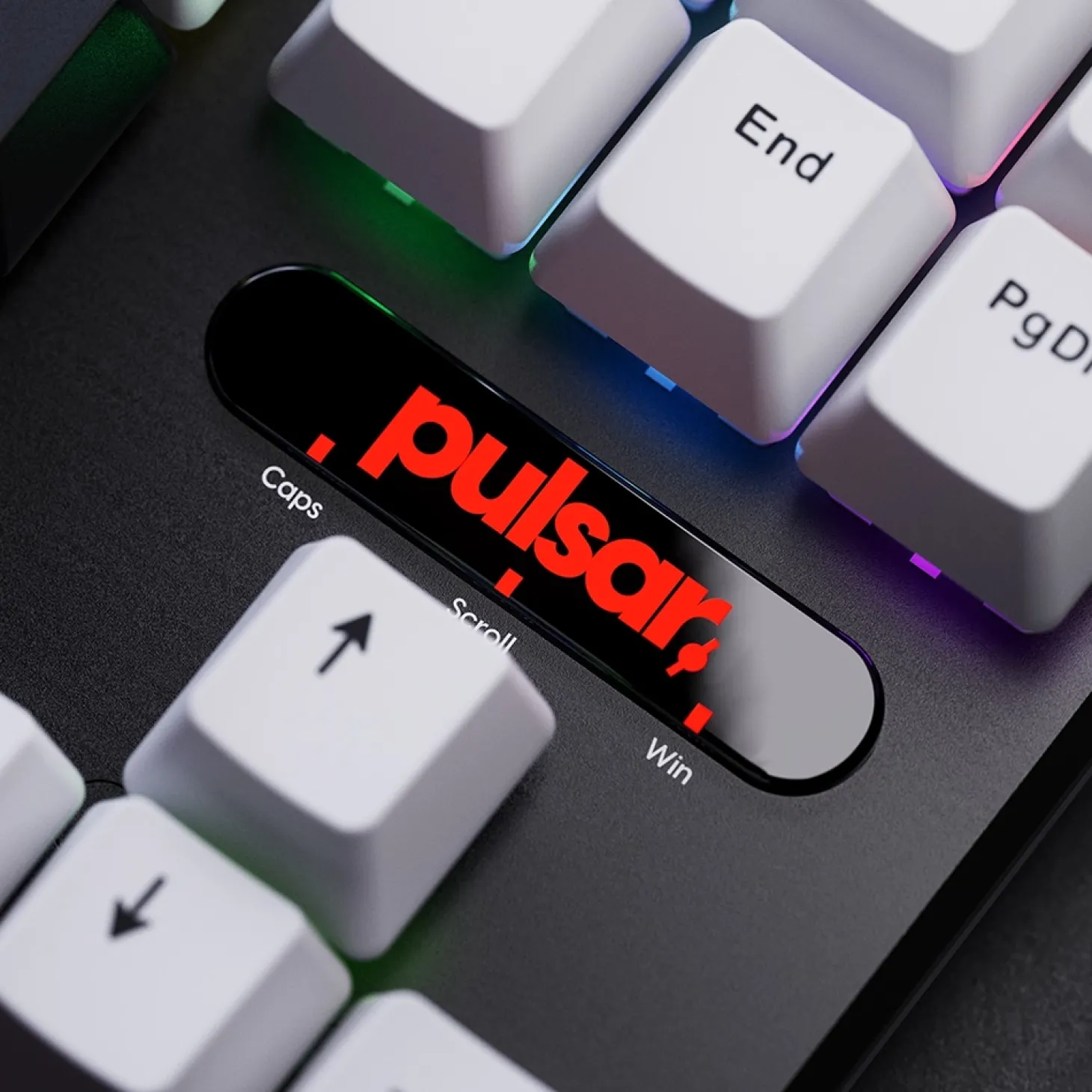 Pulsar PCMK 2 HE TKL ANSI US Blanc