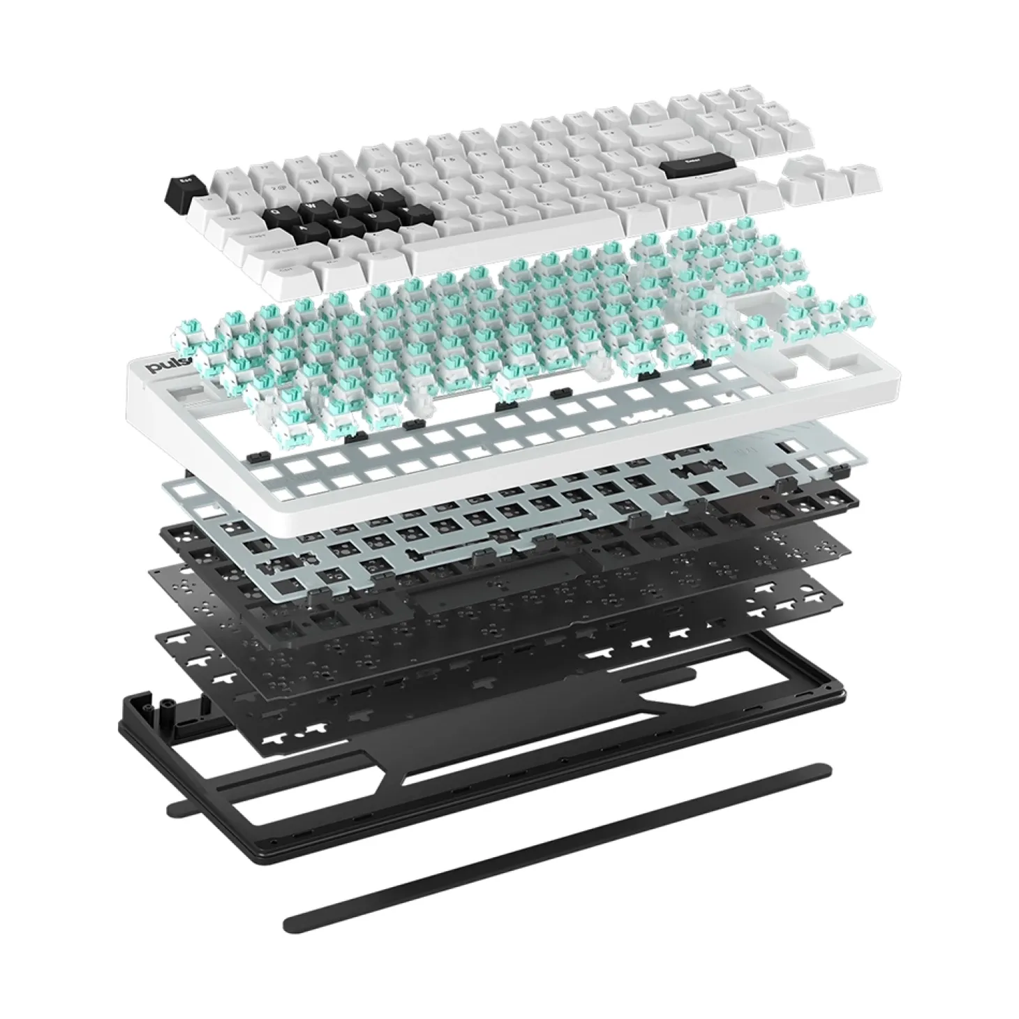 Pulsar Xboard QS First Edition ANSI US
