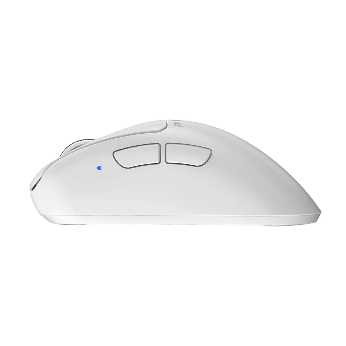 Pulsar Xlite V4 Large Wireless Blanc