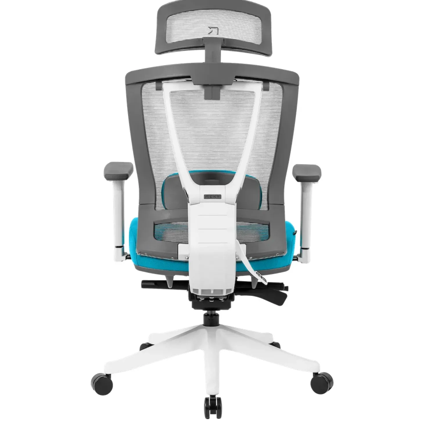 REKT Office-R Bleu Blanc